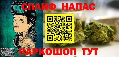jwh Кинель
