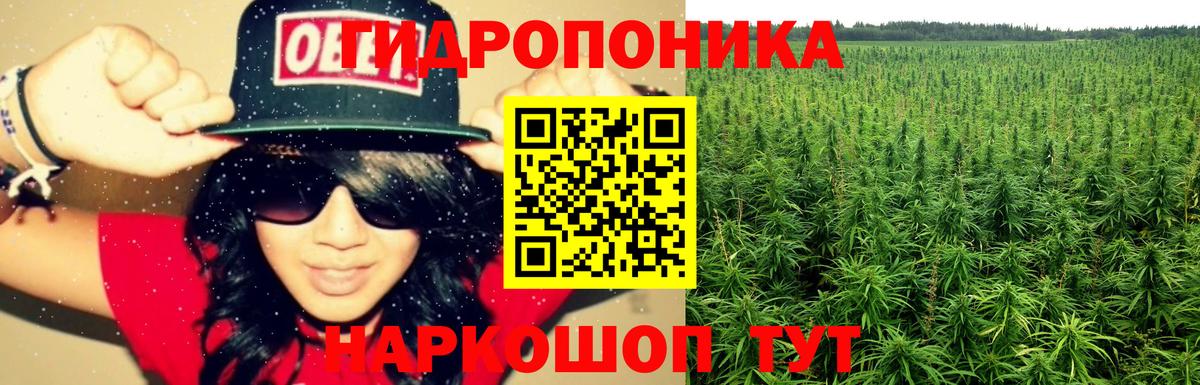 Бошки Шишки конопля  Вход с VPN  Кострома  Бошки Шишки LSD WEED  Шишки марихуана LSD WEED 